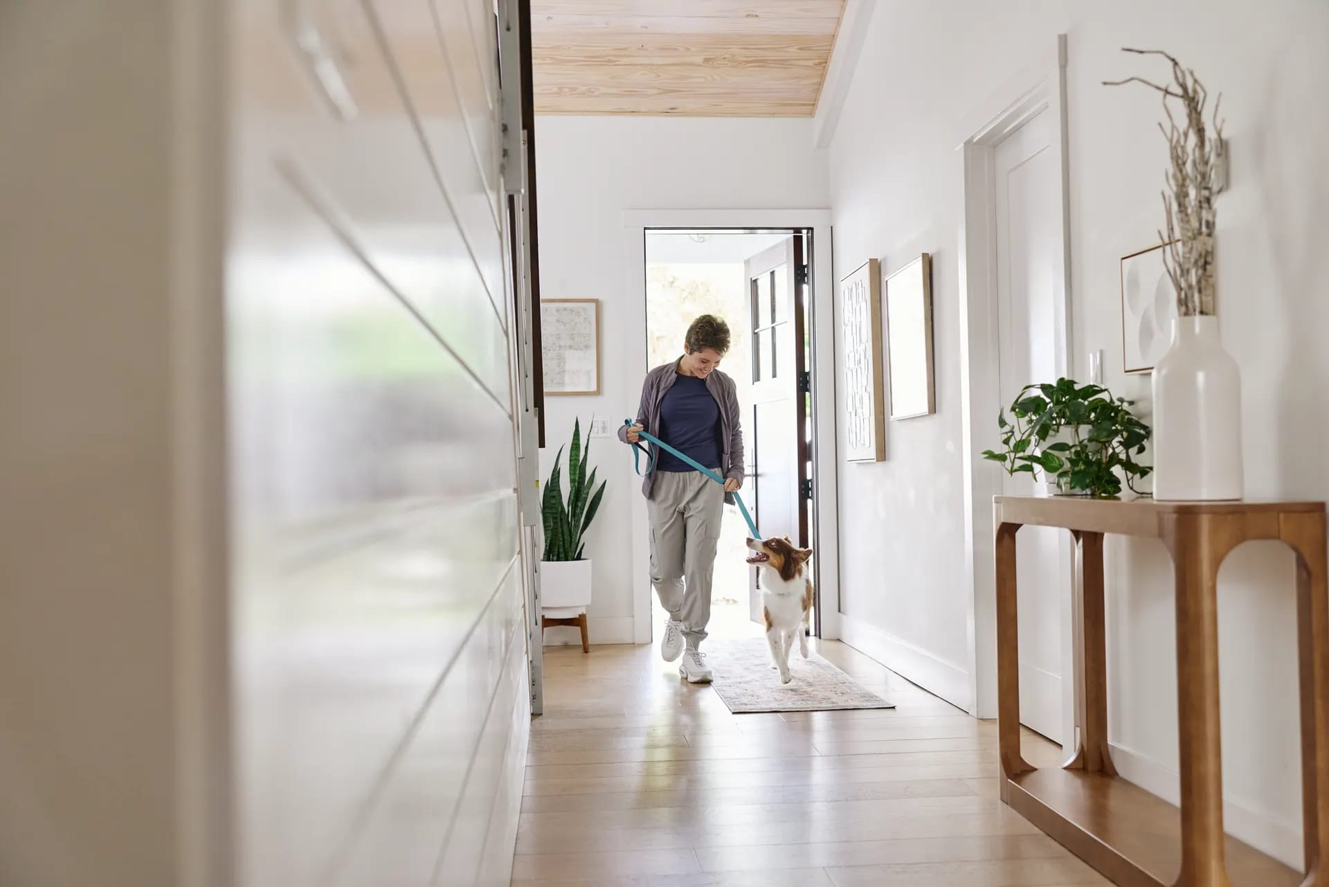 A dog walker strolling through a sunny neighborhood protected by Security ONE