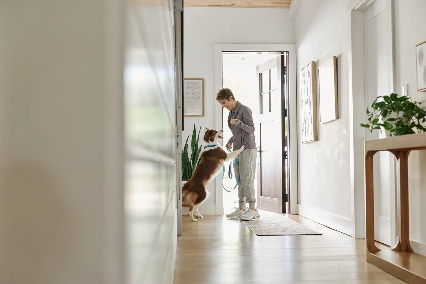 A person greeting a dog at the front door of a home